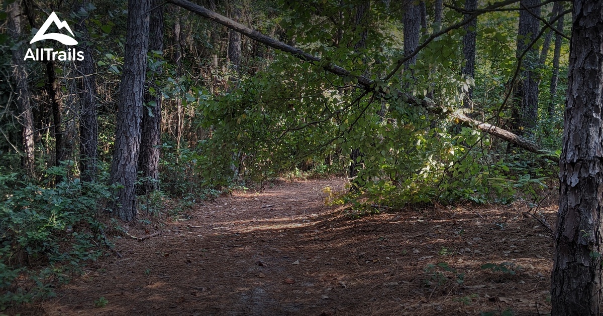 2023 Best Forest Trails in Pinebluff | AllTrails