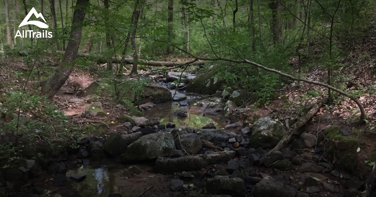 Best Trails near Pineville, North Carolina AllTrails