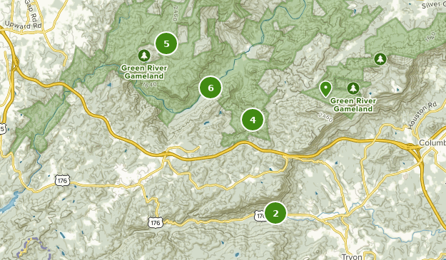 Saluda, North Carolina Map