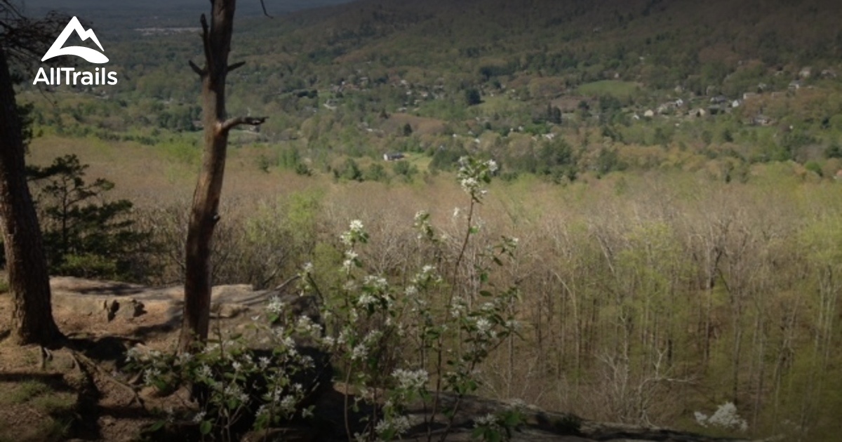 Best Trails near Sherwood Forest, North Carolina AllTrails