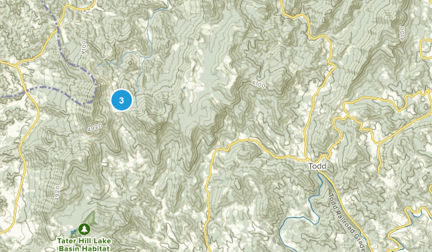 Todd, North Carolina Map