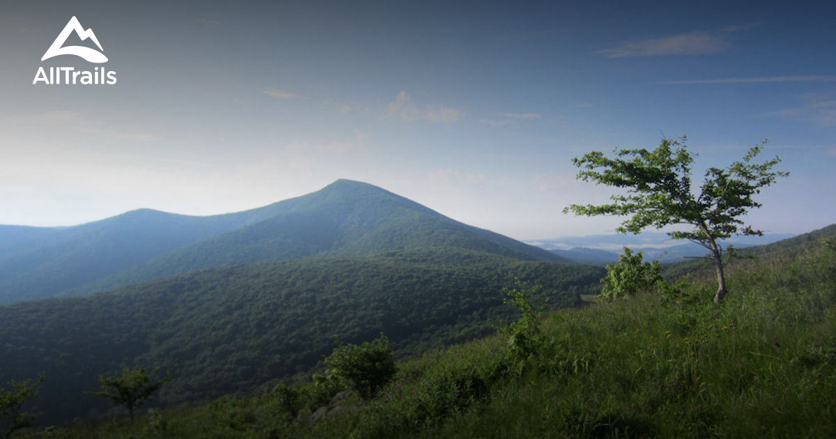 Best Trails near Todd, North Carolina AllTrails