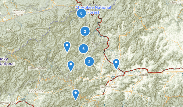 Waynesville, North Carolina Map