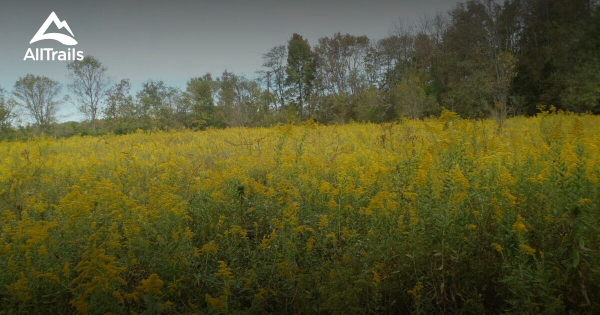 Best Hikes and Trails in Goshen AllTrails