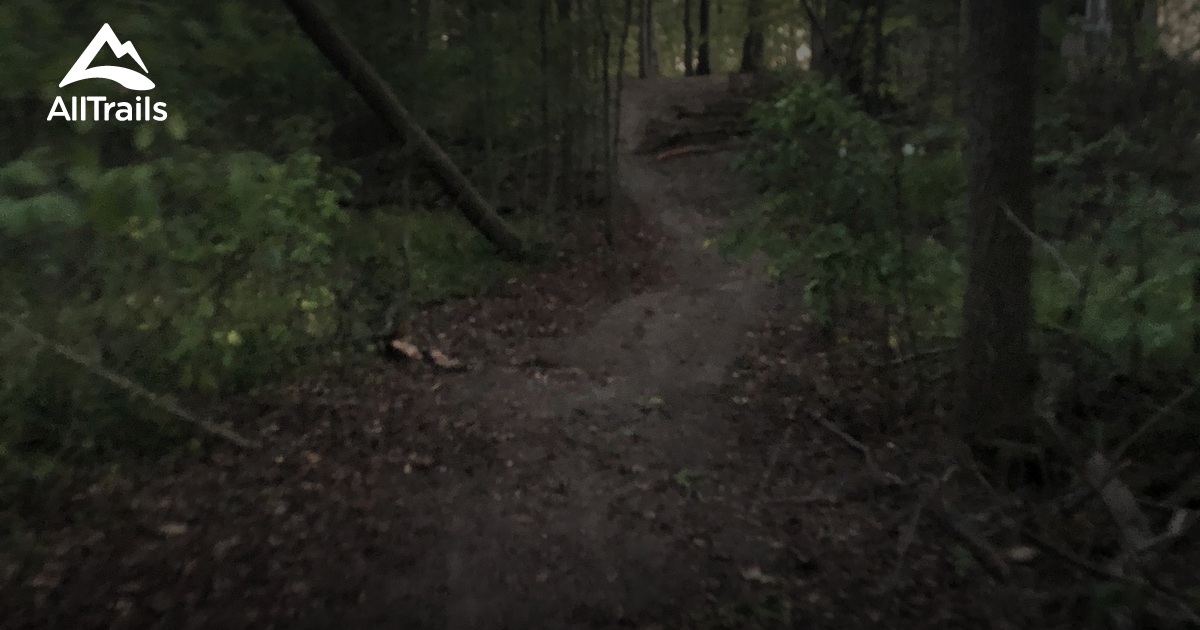 Best Forest Trails in Grover Hill AllTrails