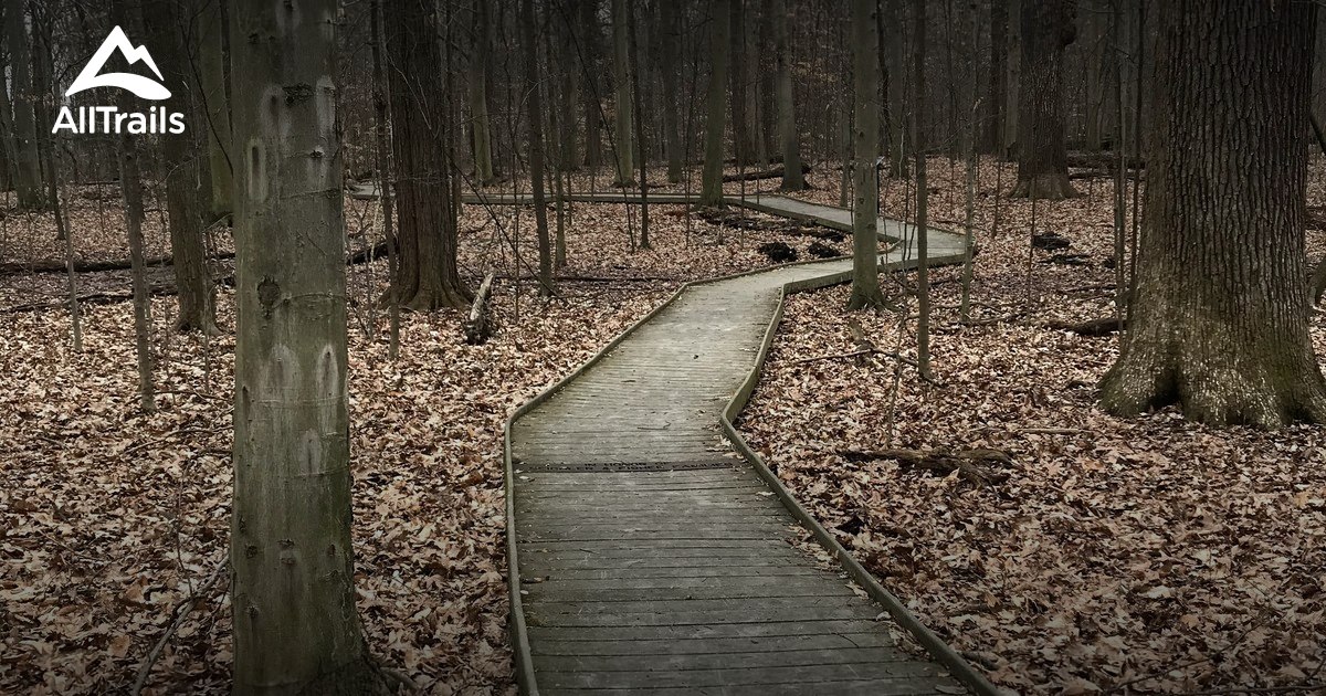 Best hikes and trails in Marshallville AllTrails