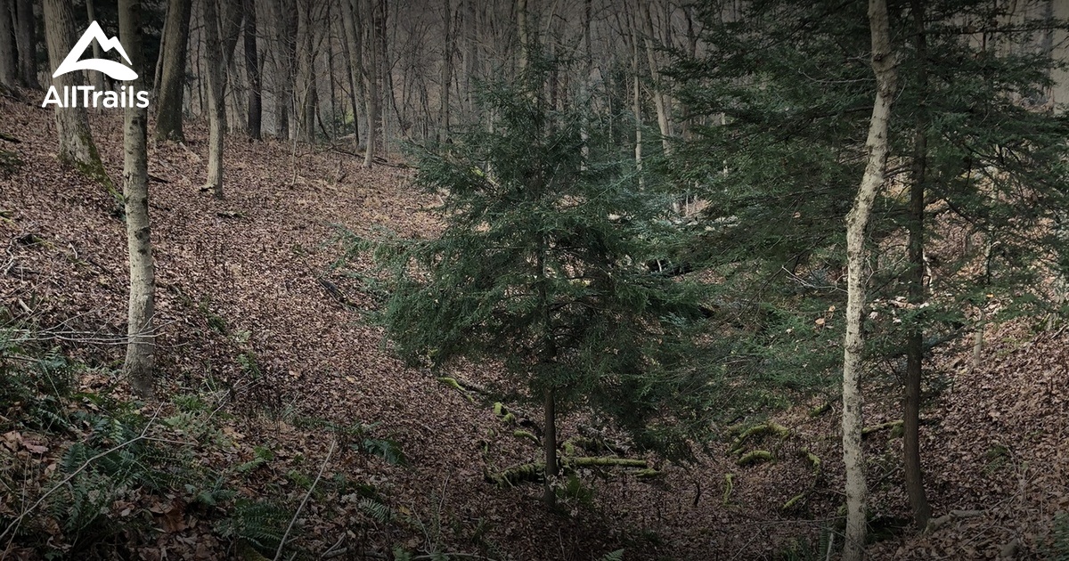 Best hikes and trails in Martins Ferry AllTrails