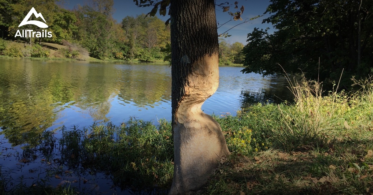 Best Trails near Mason, Ohio | AllTrails