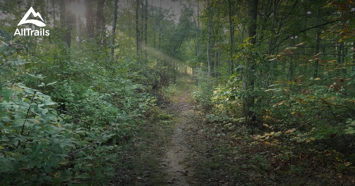 Best hikes and trails in New Matamoras AllTrails