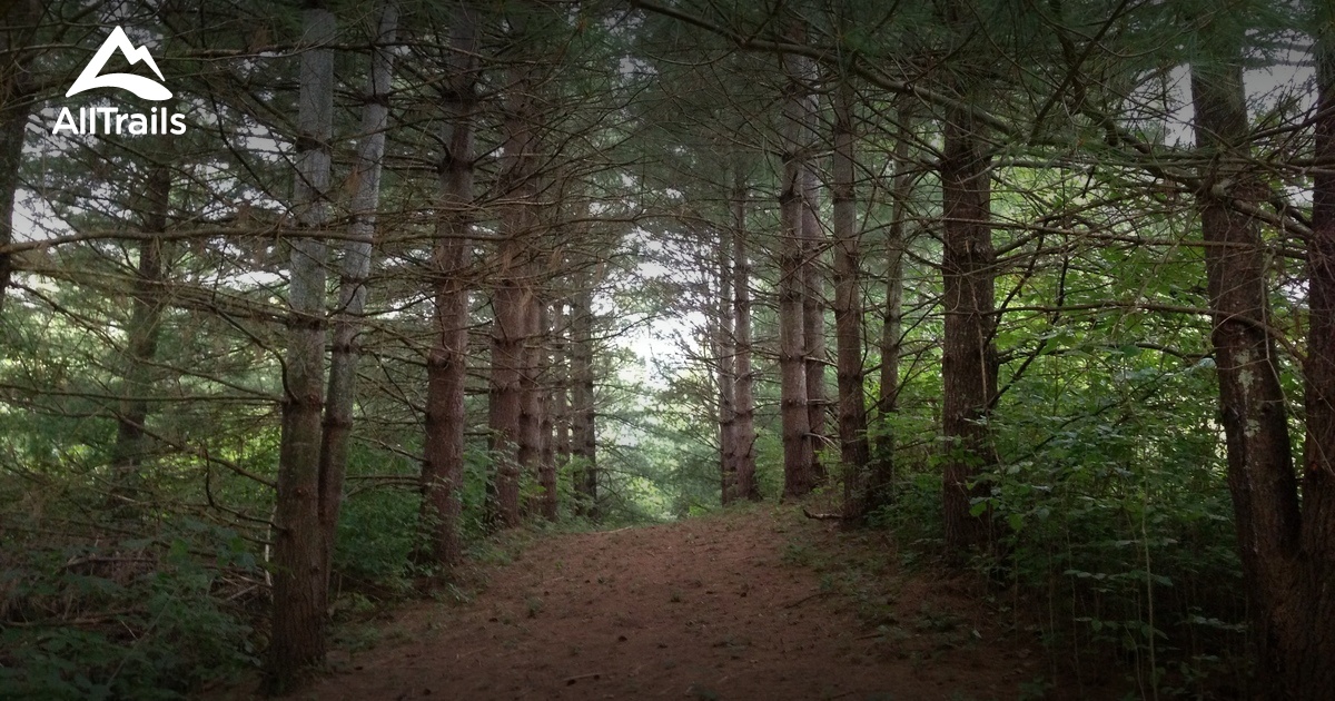 Best hikes and trails in Sinking Spring AllTrails