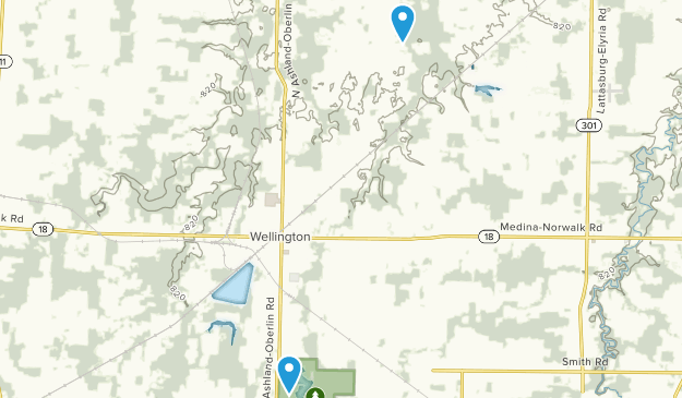 Wellington, Ohio Map