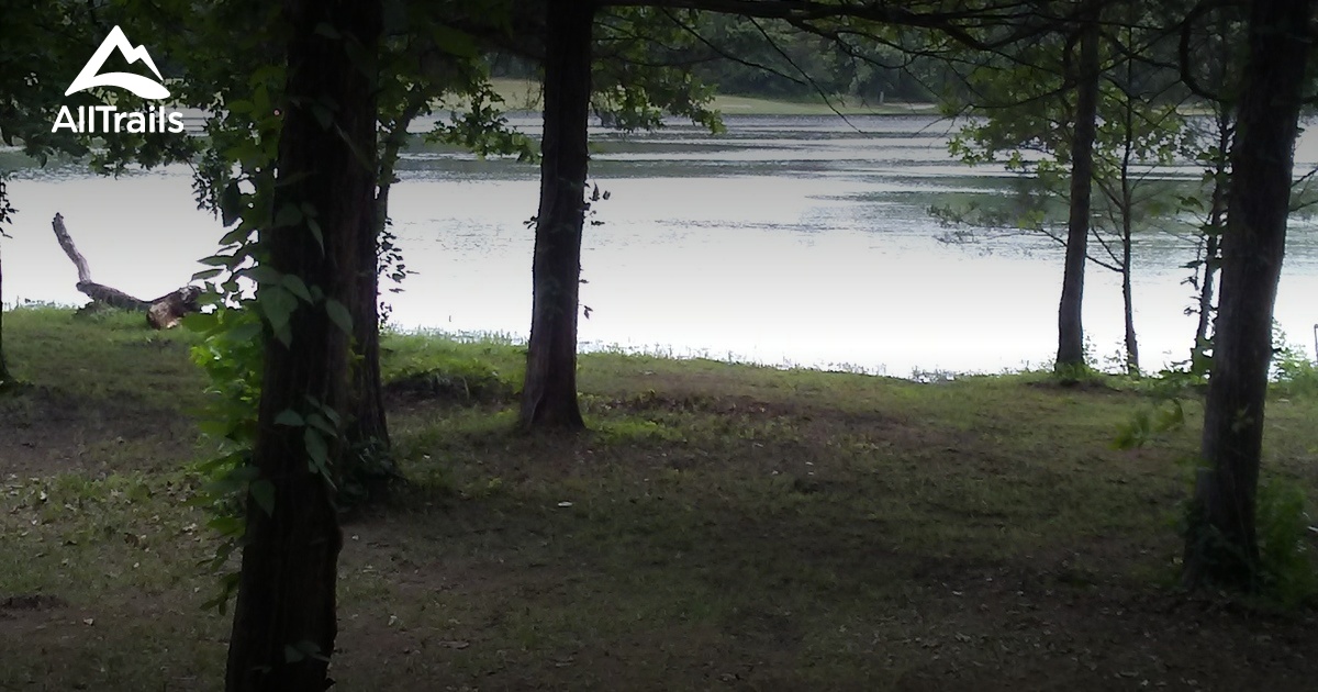 Best hikes and trails in Coleman AllTrails