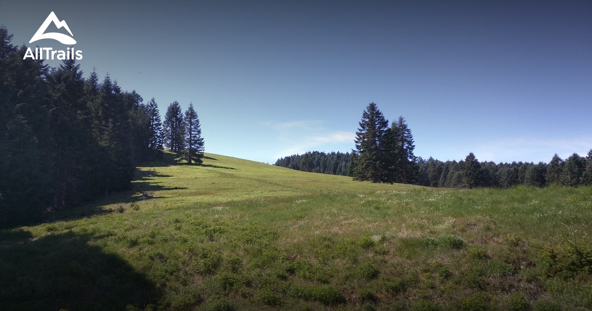 Best Trails near Blodgett, Oregon AllTrails