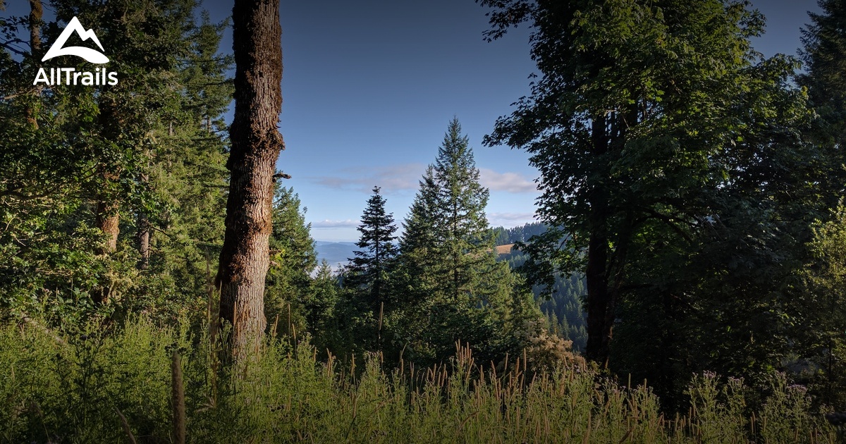 Best hikes and trails in Blodgett AllTrails