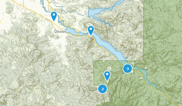 Dexter, Oregon Map