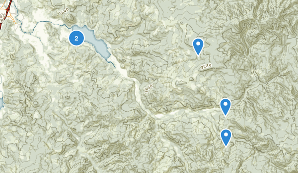 Dorena, Oregon Map