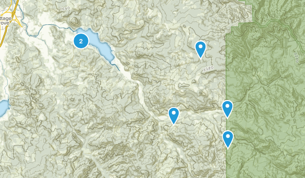 Dorena, Oregon Map
