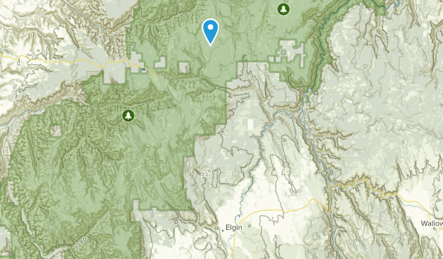 Elgin, Oregon Map
