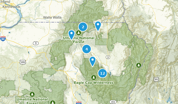 Enterprise, Oregon Map