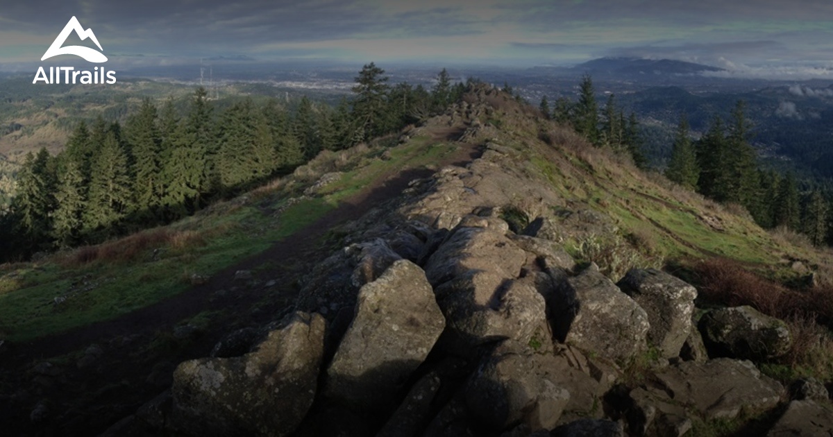 Best Trails near Eugene - Oregon | 742 Photos & 867 Reviews | AllTrails