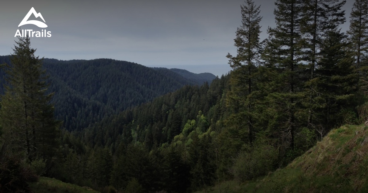 10 day weather forecast for florence oregon