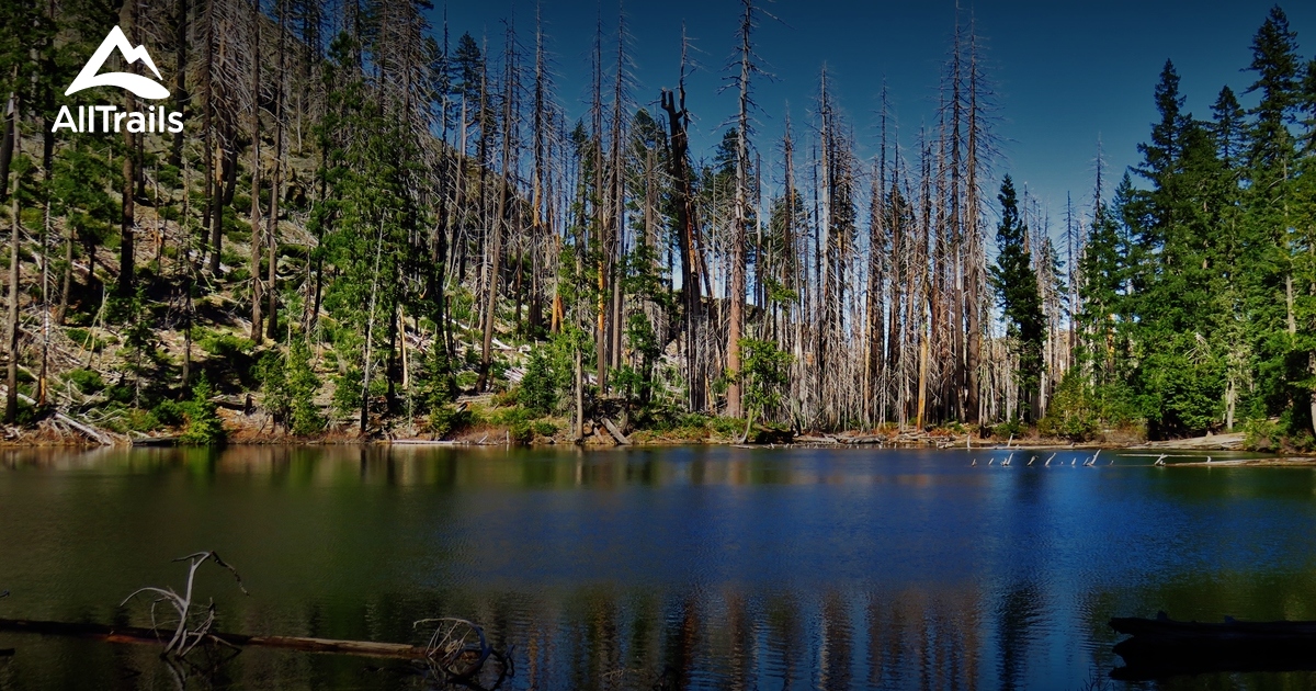 Best Trails near Kerby, Oregon AllTrails
