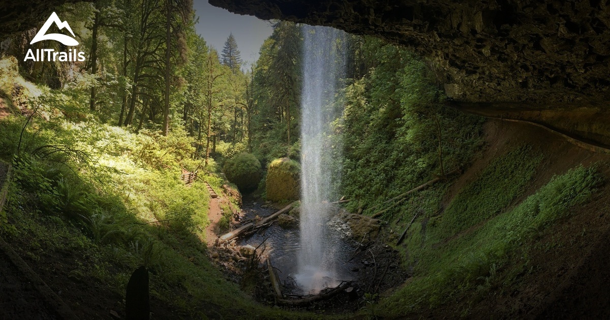 Best Trails near Mehama, Oregon AllTrails