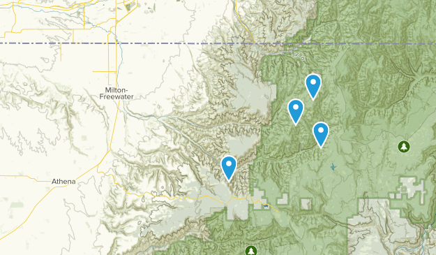 Milton Freewater, Oregon Map