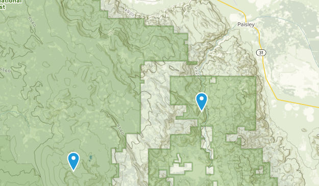 Paisley, Oregon Map