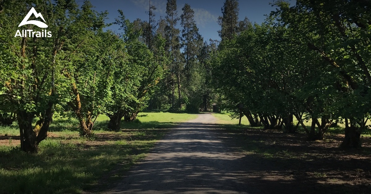 Best Trails near Springfield, Oregon AllTrails