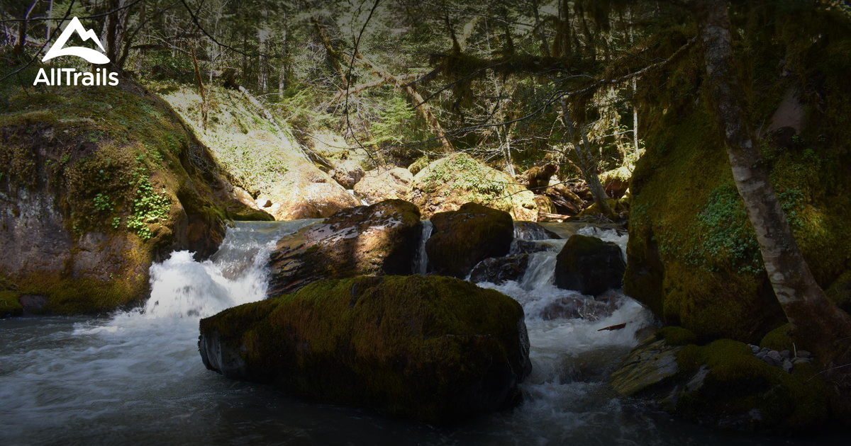 Best Trails near Tiller, Oregon | AllTrails