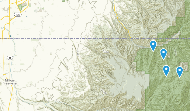 Walla Walla, Oregon Map