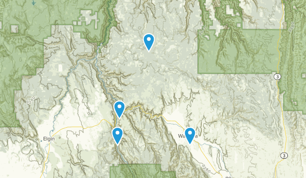 Wallowa, Oregon Map