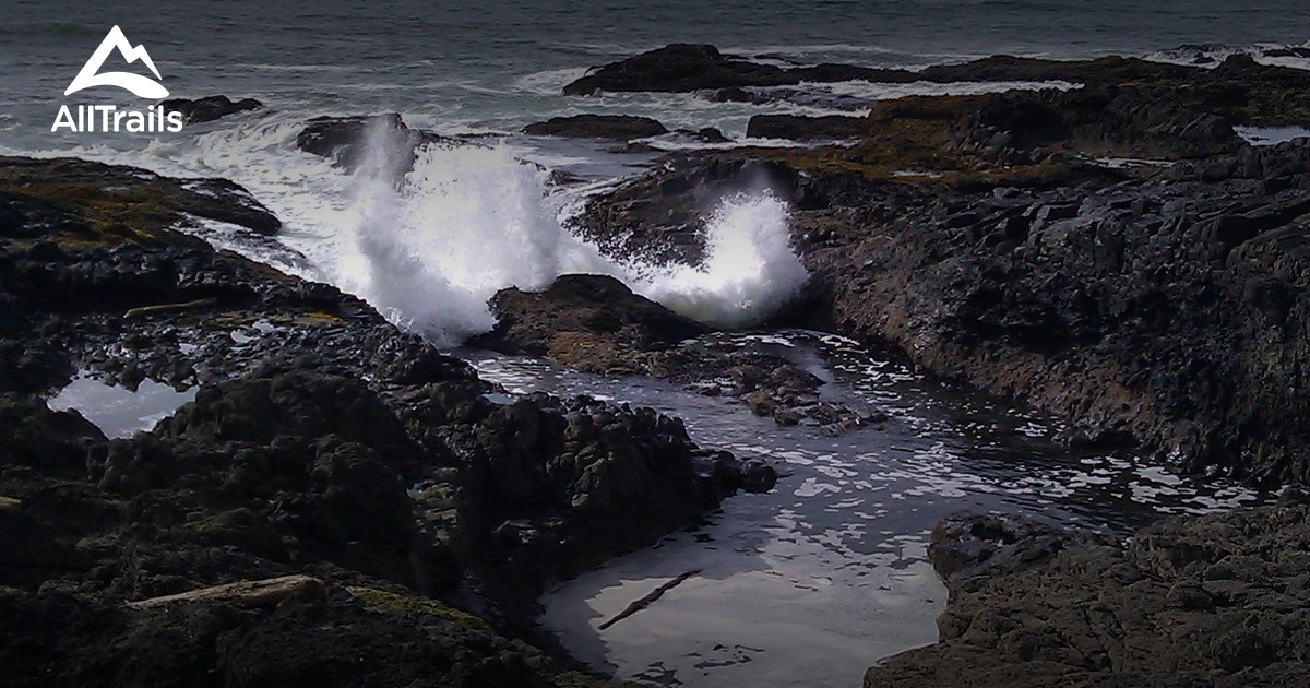 Best Trails near Yachats Oregon 344 Photos & 233 Reviews AllTrails