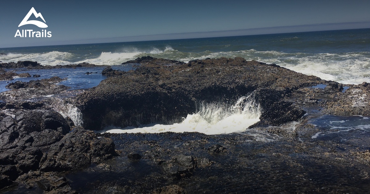 10 Best trails and hikes in Yachats AllTrails