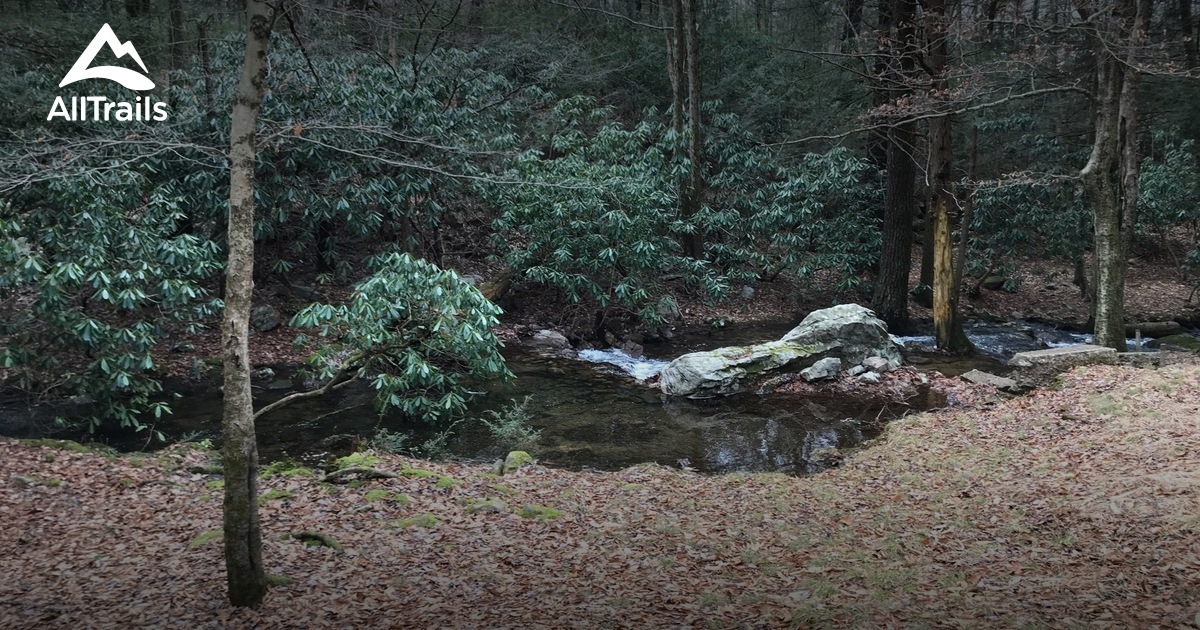 Best hikes and trails in Albrightsville AllTrails