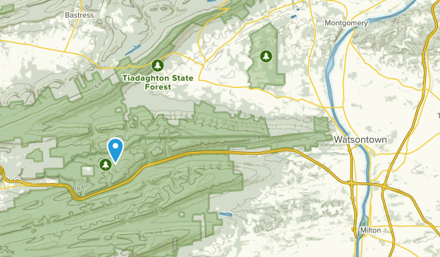 Allenwood, Pennsylvania Map