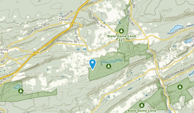 Barnesville, Pennsylvanie Map