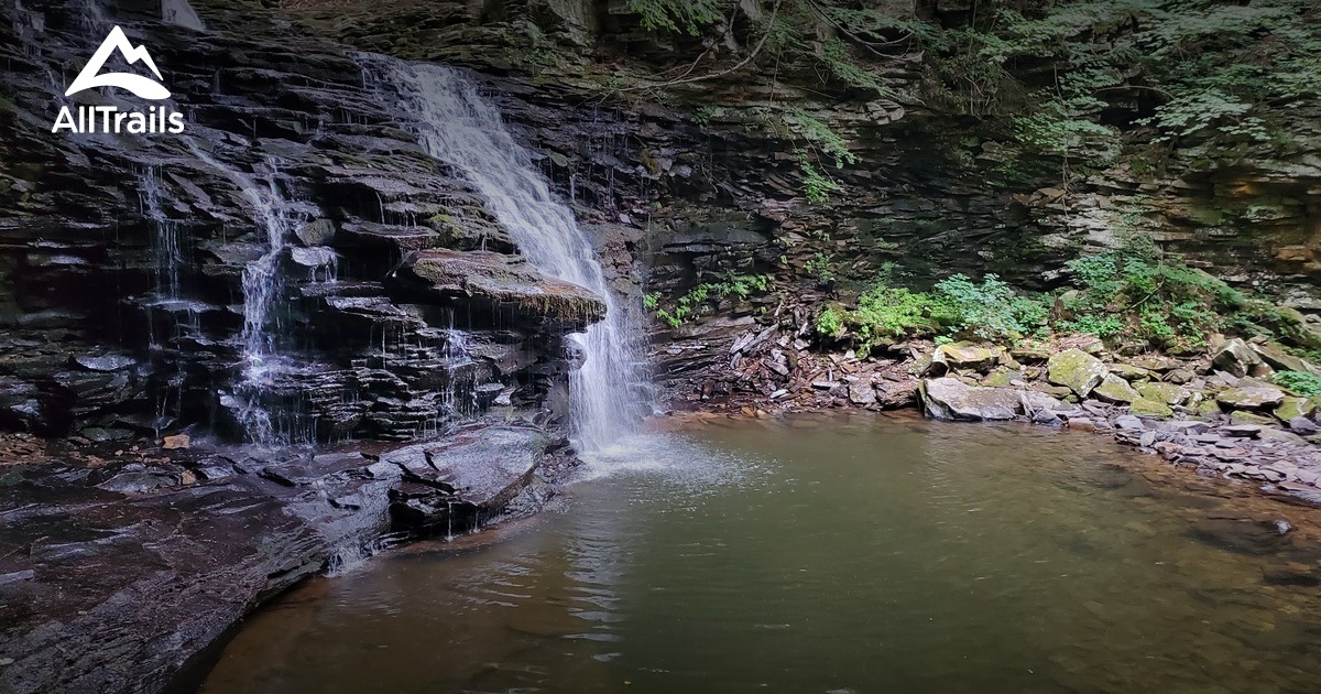 Best hikes and trails in Blossburg AllTrails