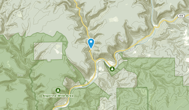 Cedar Run, Pennsylvania Map
