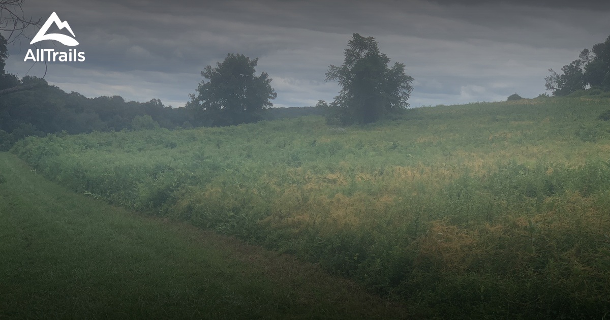 Best Hikes and Trails in Chester Heights AllTrails