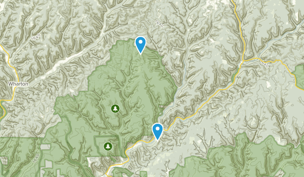 Cross Fork, Pennsylvania Map