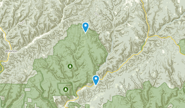 Cross Fork, Pennsylvanie Map