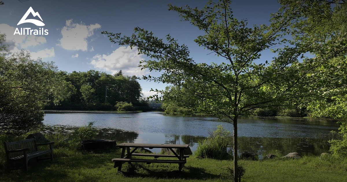 Best hikes and trails in Eagles Mere AllTrails