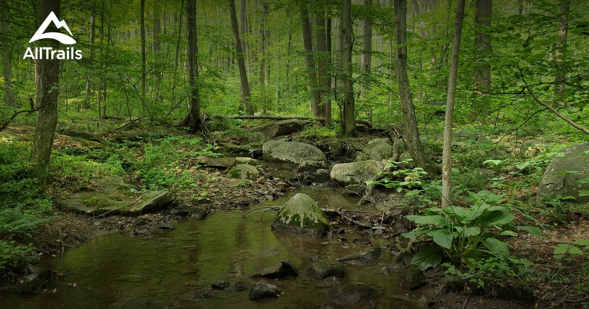 10 Best trails and hikes in Elverson AllTrails