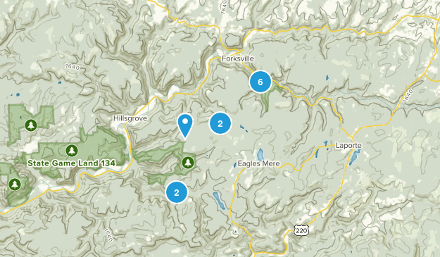Forksville, Pennsylvania Map