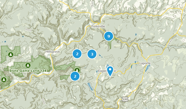 Forksville, Pennsylvanie Map