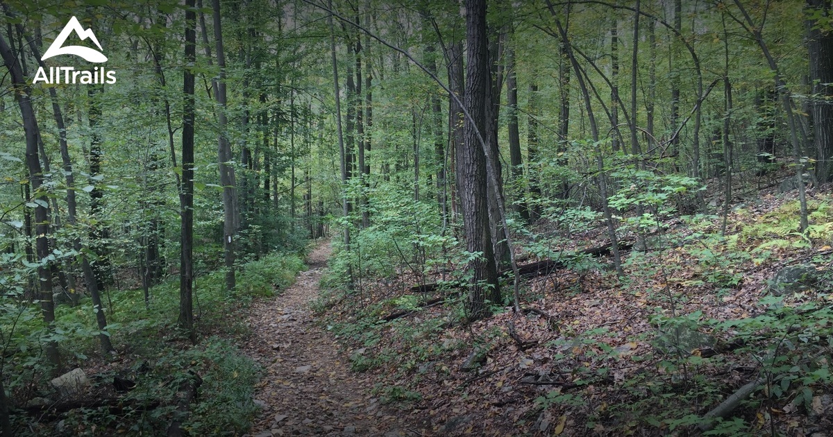 Best Trails near Hamburg, Pennsylvania AllTrails