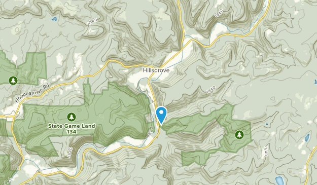 Hillsgrove, Pennsylvania Map