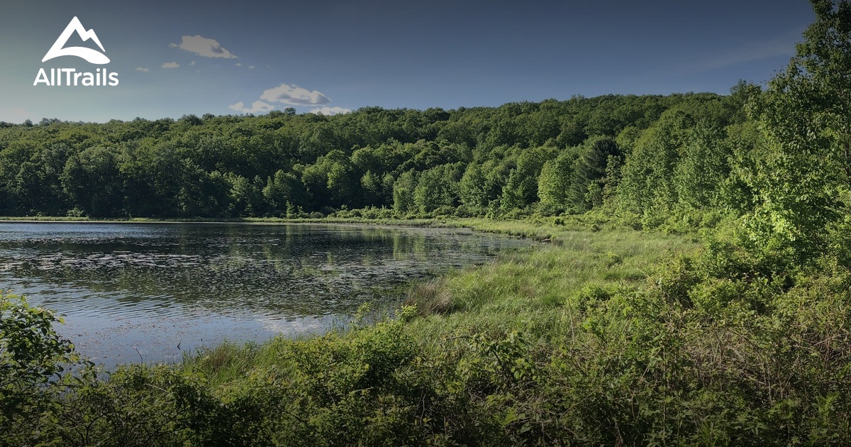 Best hikes and trails in Lackawaxen Township AllTrails